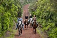 Faial Riding