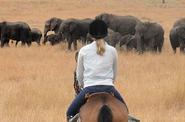 Kenya Riding Safari