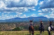 Riders in the field 