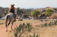 Mexico Horse Riding