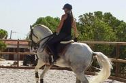 Portugal Riding Lessons