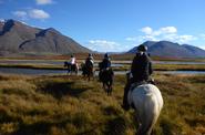 Iceland Horse Riding