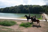 Horses at the lake