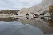 Riding along the lake 