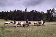 Riders crossing the field 