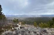 Yukon wilderness 