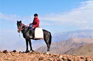 Uzbekistan Horse Riding