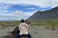 Iceland Horse Riding