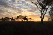 Sunset ride 