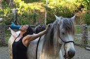 Equine Yoga Teacher Program