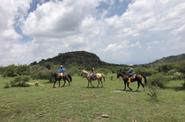 Mexico Horse Riding