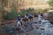 Crossing the river atop horses 