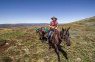 Australia Riding