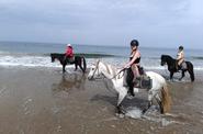 Beach ride 