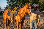 Bidding farewell to a horse 