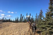 Exploring the Yukon wilderness 