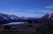 Lake by the evening 