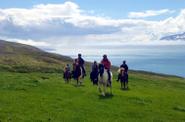 Iceland Horse Riding