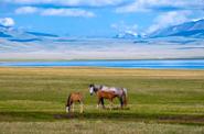 Kyrgyzstan Riding