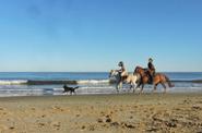 Uruguay Horse Riding