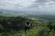 Uruguay Horse Riding