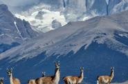 Patagonia Trekking