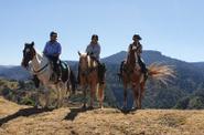 Riders atop their horses 