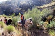 Spain Horse Riding