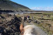 Iceland Horse Riding