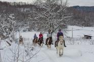 Bosnia Riding