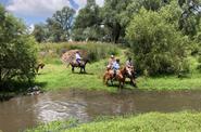 Mexico Horse Riding