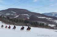 Bosnia Riding