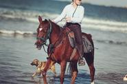 Horser ride at the beach