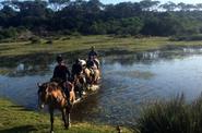 Uruguay Riding