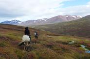 Iceland Horse Riding