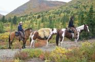 Exploring the Yukon wilderness 