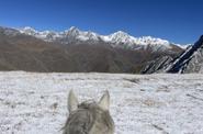 Caucasus Riding