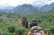 Equestrians exploring the Yukon 