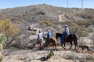 Arizona Horseriding