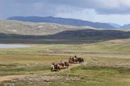 Iceland Horse Riding