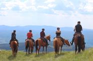 Slovenia Horseriding