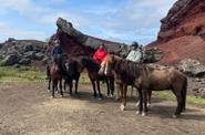 Iceland Horse Riding