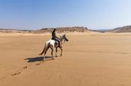 Riding along the desert