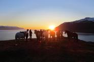 Iceland Horse Riding