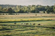 Bosnia Horse Riding