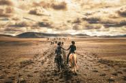 Iceland Horse Riding