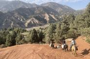 Uzbekistan Horse Riding