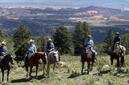 Riders atop a mountain 