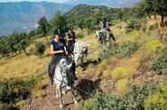 Andalusia Horse Riding