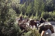 Riders crossing the river 